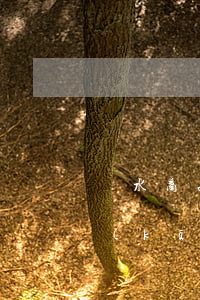 滲水商品房一修再修直到過(guò)保，開(kāi)發(fā)商要不要擔(dān)責(zé)？